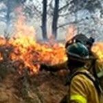 Personal lucha contra incendios