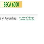 beca 6000 Andalucía