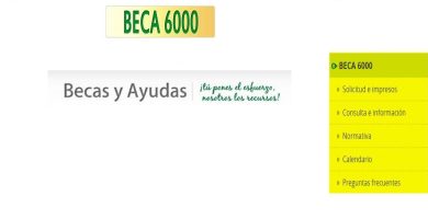 beca 6000 Andalucía