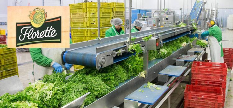 empleo florette