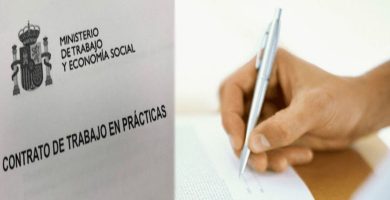 contrato de practicas