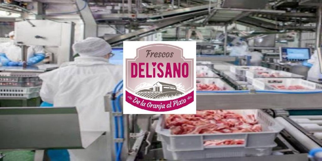 trabajar delisano