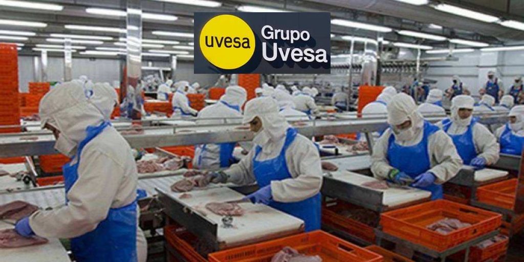 trabajar Grupo Uvesa