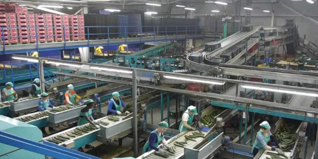 trabajar alhondiga la union