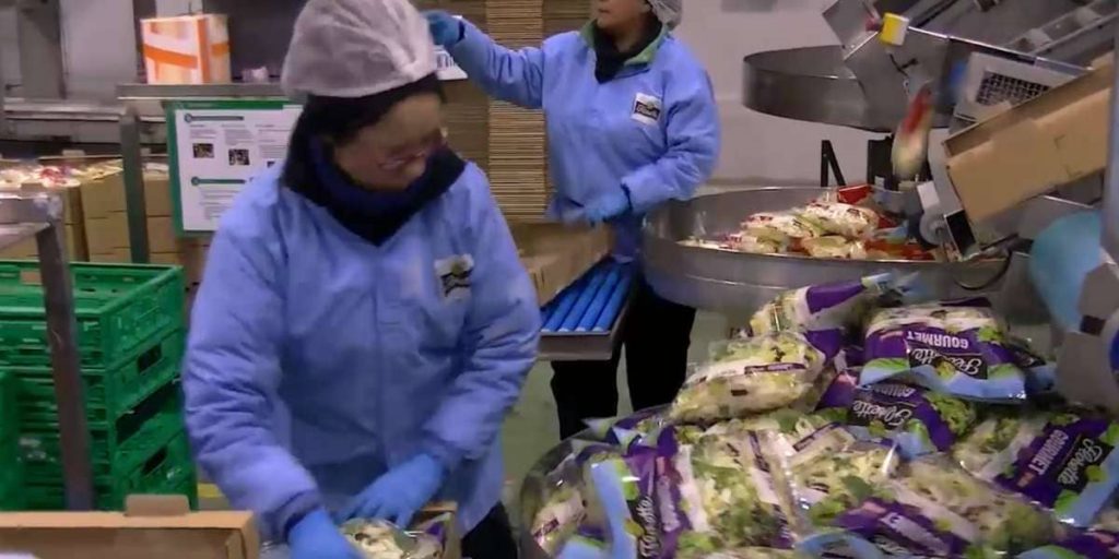 trabajar en Florette