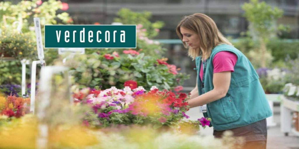 enviar cv verdecora