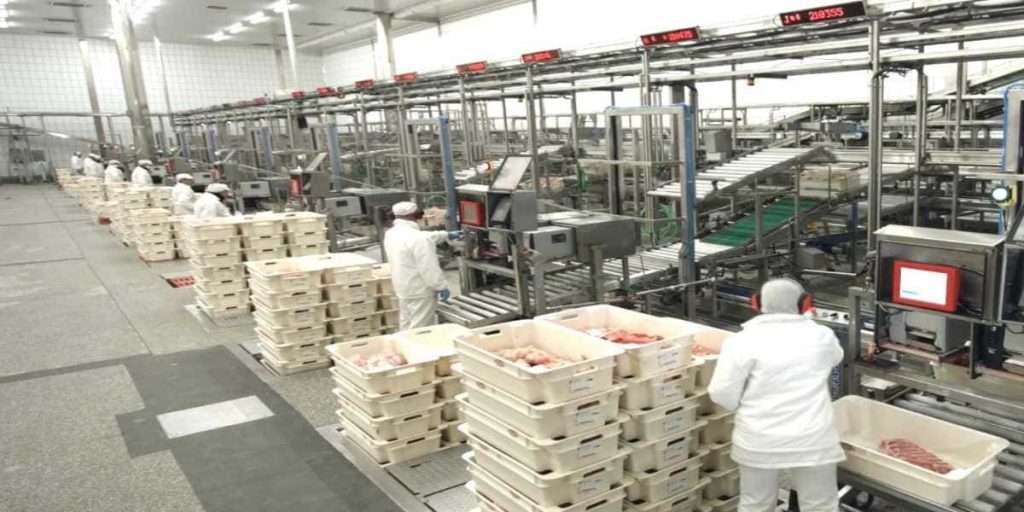 trabajo el pozo alimentacion