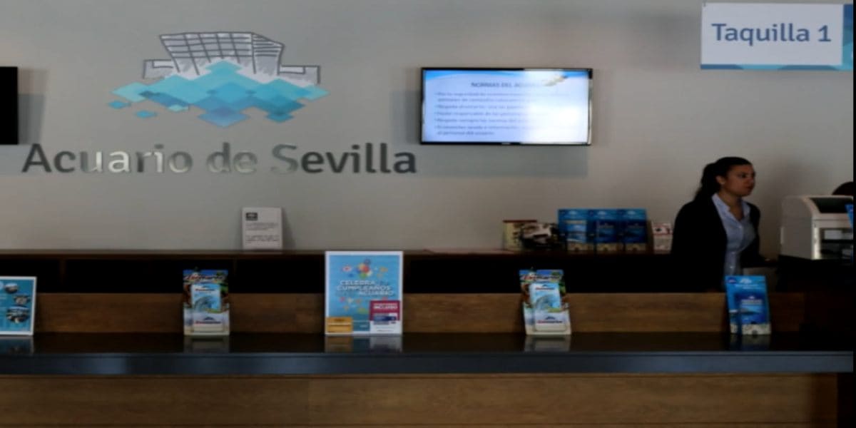 C mo Inscribirte Para Trabajar Como Gu a En El Acuario De Sevilla c-mo-inscribirte-para-trabajar-como-gu-a-en-el-acuario-de-sevilla