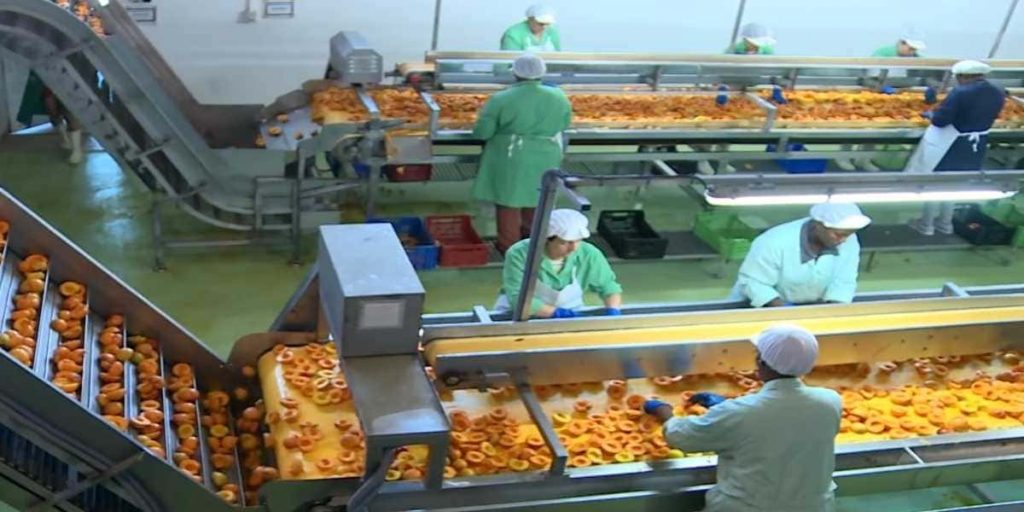 trabajar envasado fruta