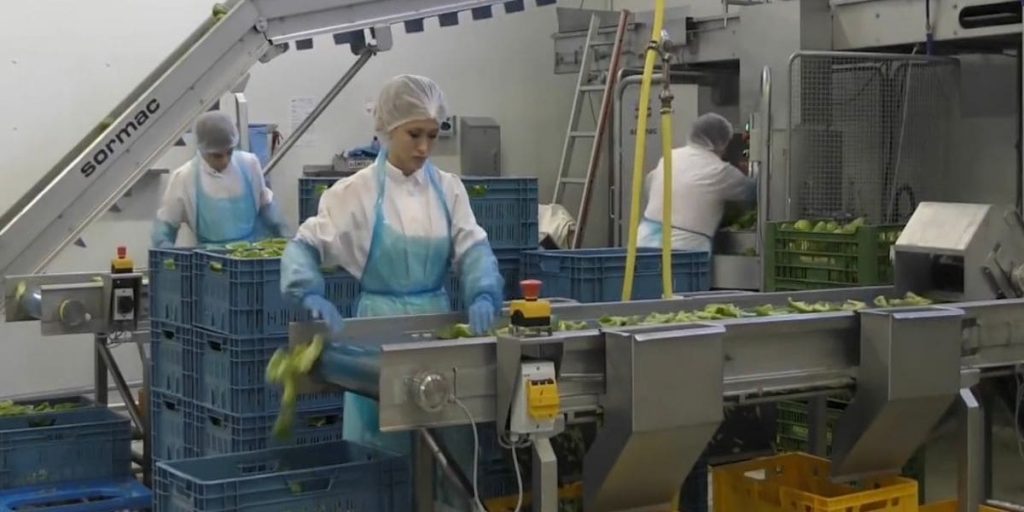 trabajo fabrica alimentacion