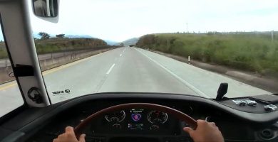 conductores autobus alemania
