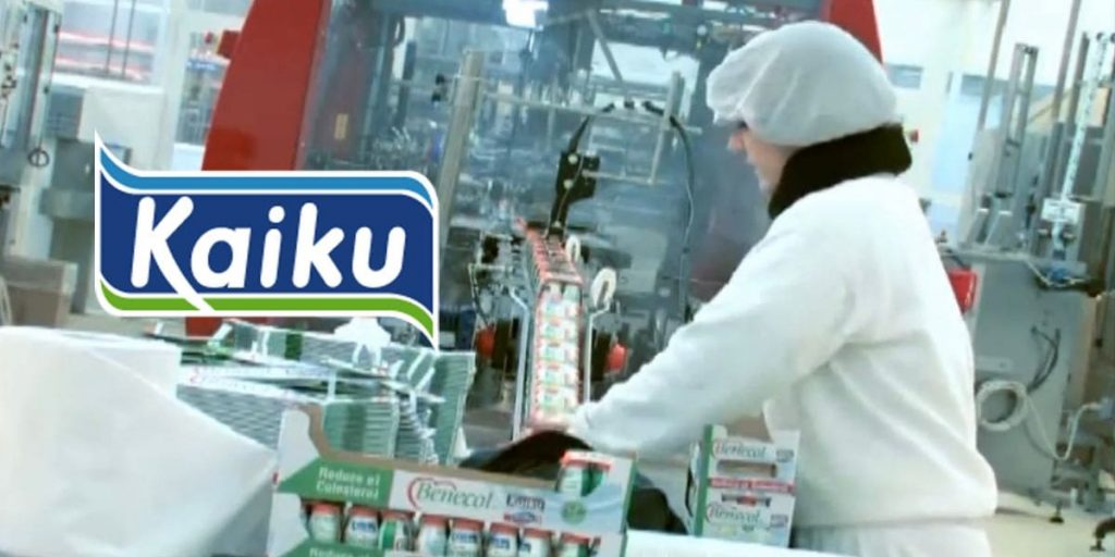 trabajo kaiku