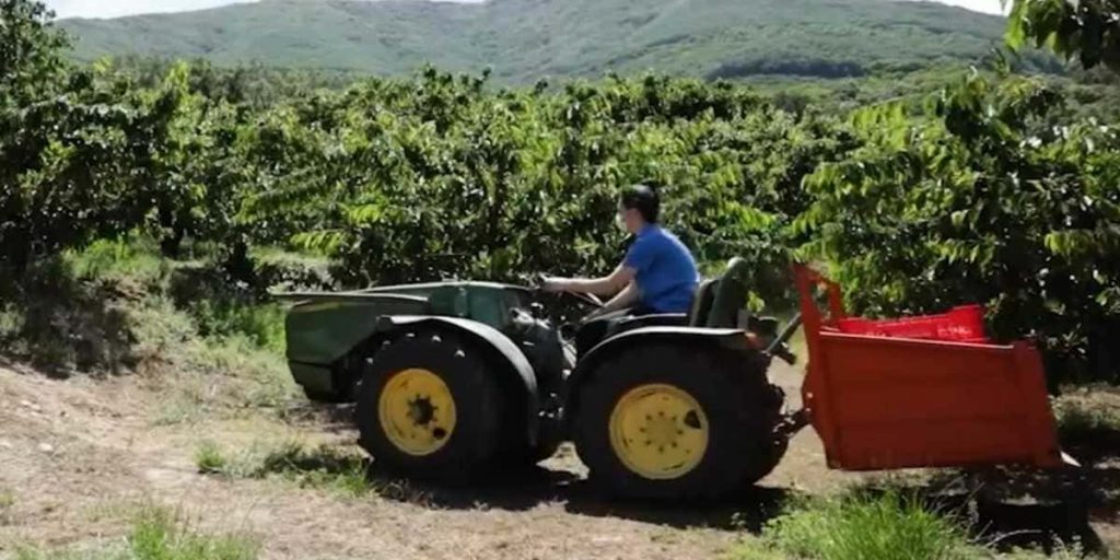 trabajar en el sector agrícola