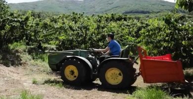 trabajar en el sector agrícola