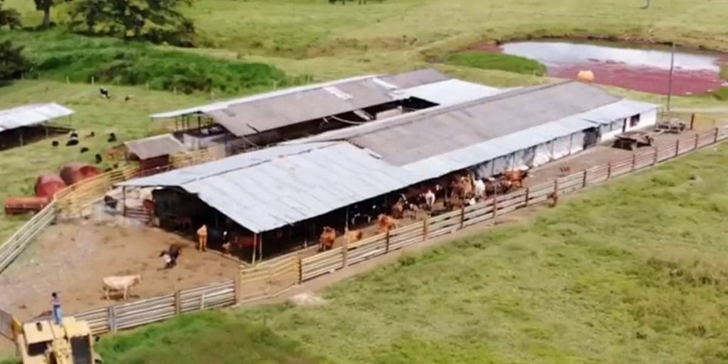 trabajo cuidado fincas