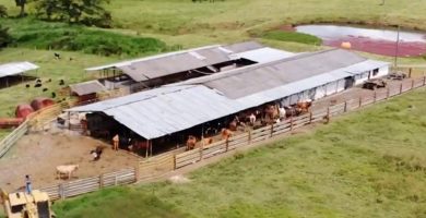 trabajo cuidado fincas