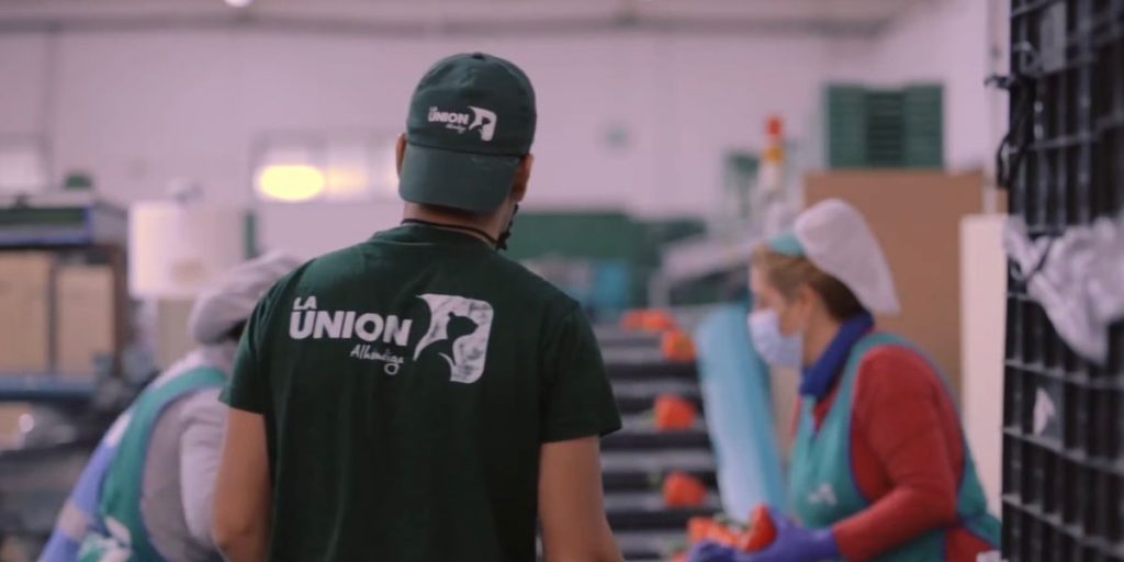 empleo la union