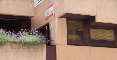 subsidio extraordinario desempleo