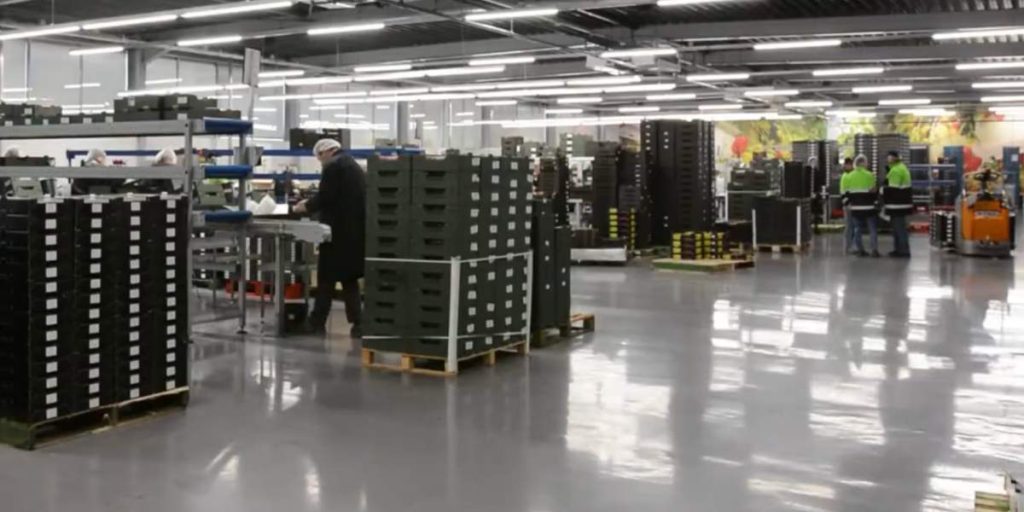 trabajar manipuladores de frutas