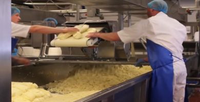 contratación como operarios para trabajar en empresas de alimentación