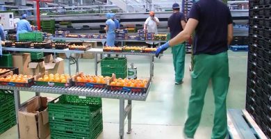 personas encajadores caquis