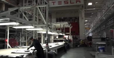 empleo tesla