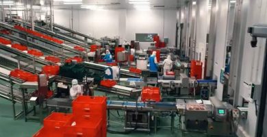 trabajar fines de semana Barcelona