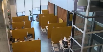 ayudas nuevos autonomos andalucia