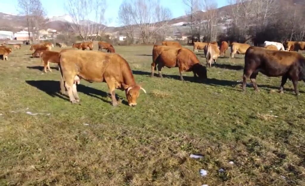 trabajadores para granjas sin experiencia