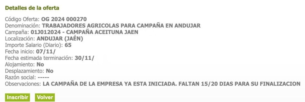 Trabaja en la campaña de la aceituna en Jaén