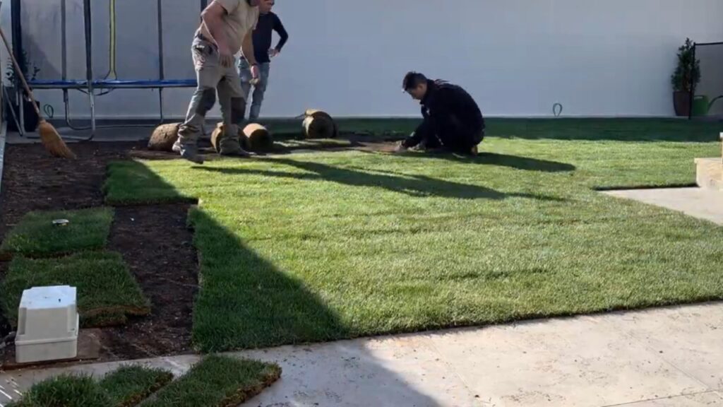 Ofertas para trabajar en jardinería