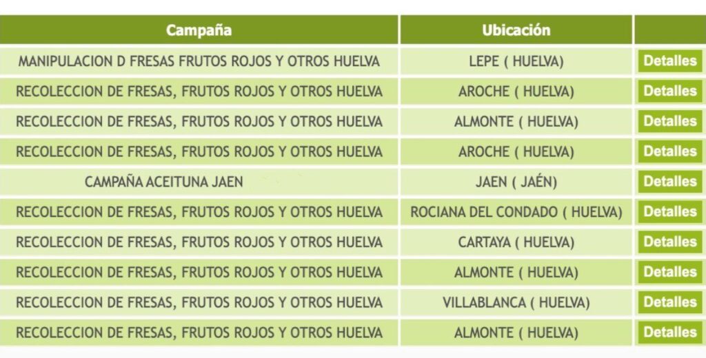 Ofertas de empleo agrícola en el Servicio Andaluz de Empleo
