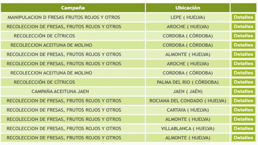 Cómo inscribirte para trabajar en la campaña de la fresa en Huelva