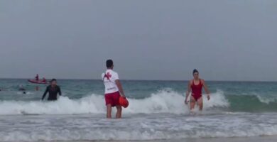Ofertas de Cruz Roja para trabajar en verano en playas de Cádiz
