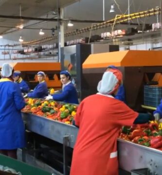 trabajar en empresas hortofrutícolas en verano