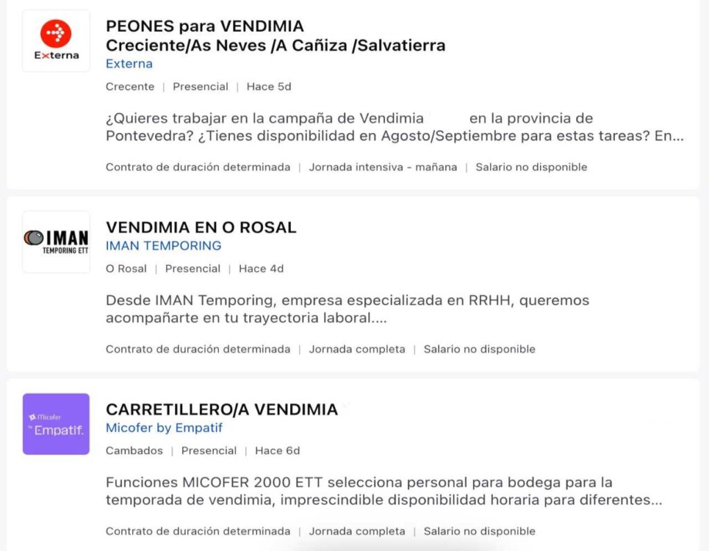 Publicadas muchas ofertas para trabajar en la vendimia en Pontevedra, ¡inscríbete!