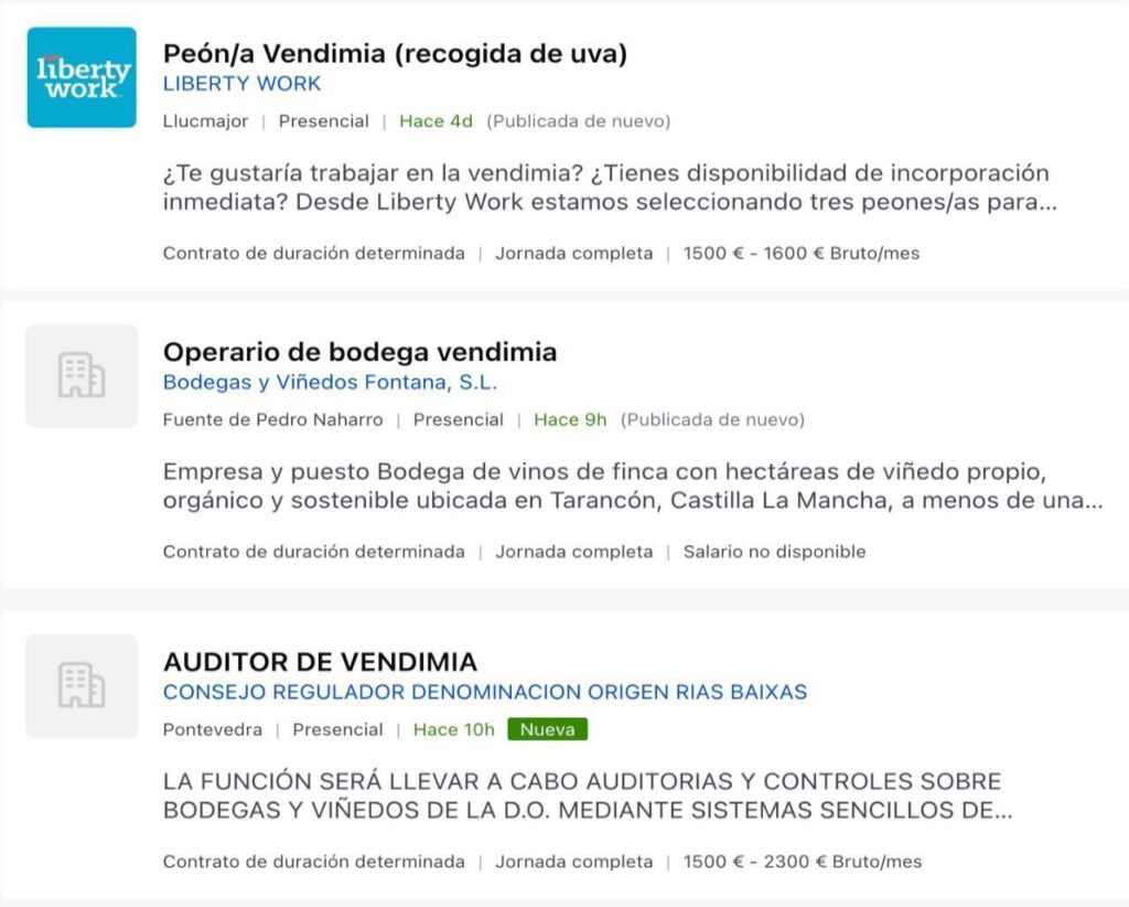 Se necesitan personas para trabajar en la vendimia con sueldos de hasta 1.500 euros