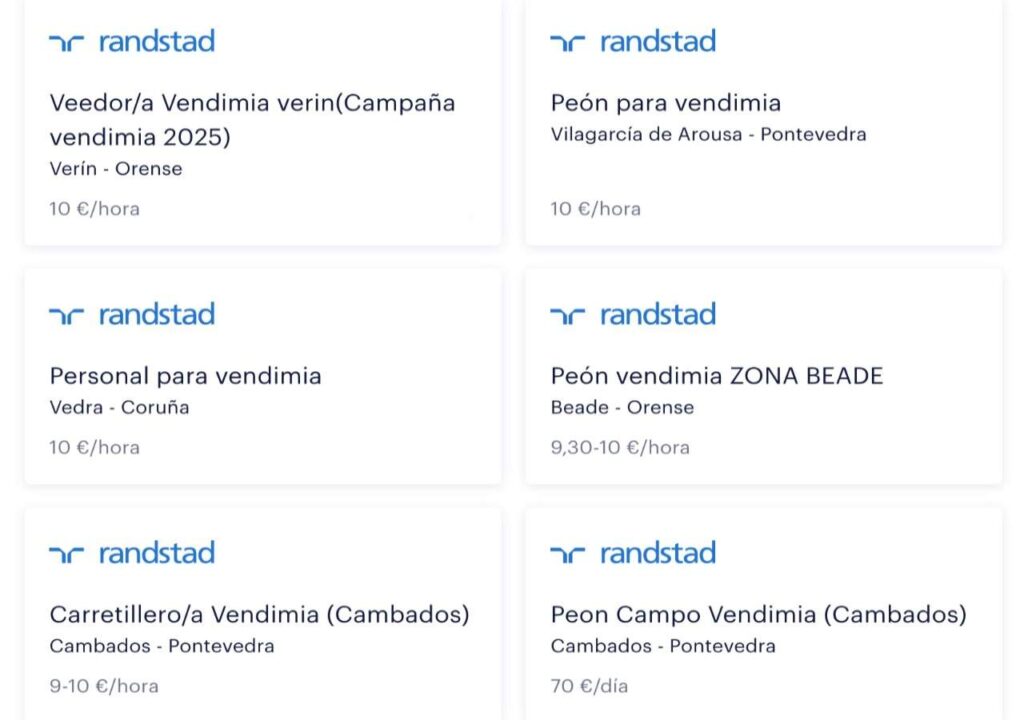 Se buscan trabajadores para trabajar en la vendimia en Galicia