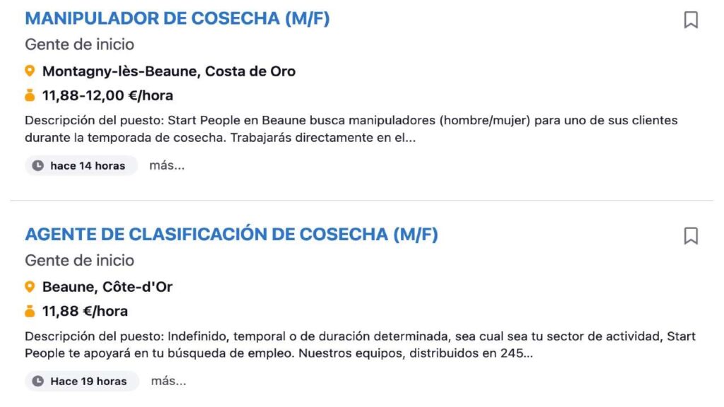 ¿Cómo trabajar en la vendimia en Francia?