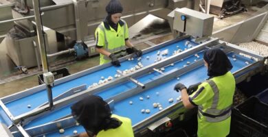 Champinter tiene un proceso de selección abierto para cubrir nuevas vacantes