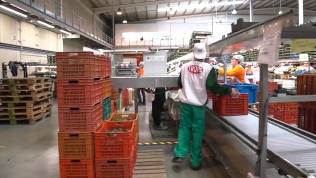 Ofertas en Trops para trabajar en la Campaña de Mango