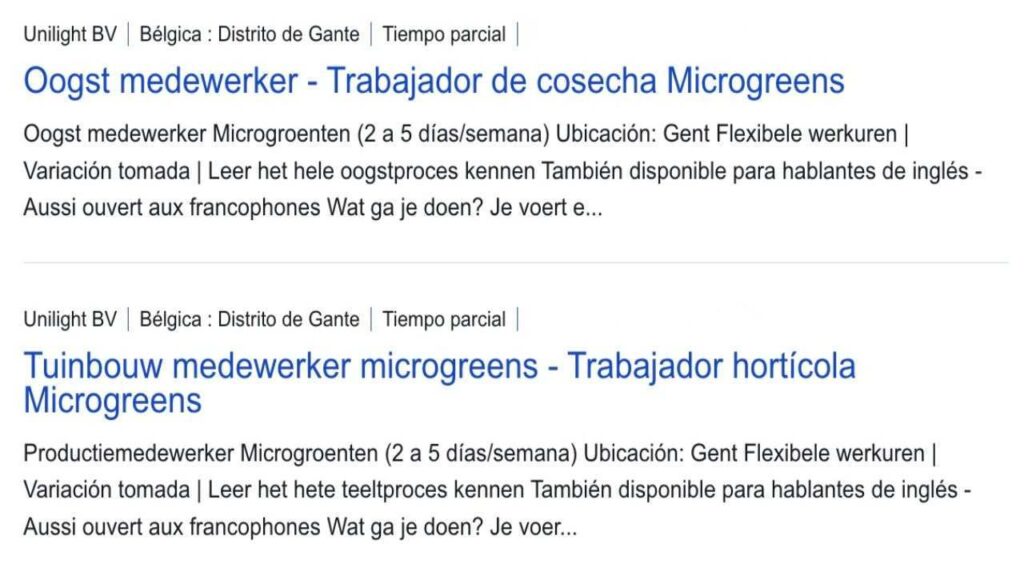 Eures busca personal para trabajar en la campaña agrícola en Bélgica