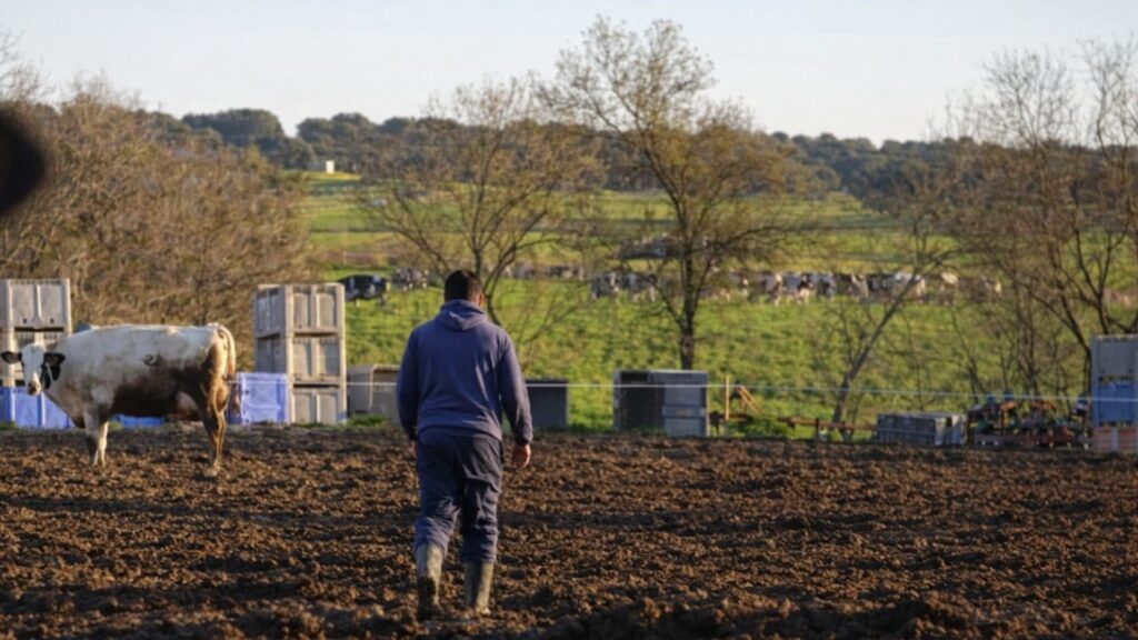 Cómo buscar empleo en el medio rural