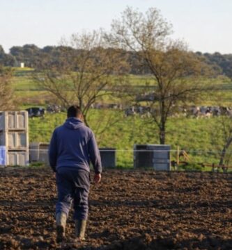 Cómo buscar empleo en el medio rural