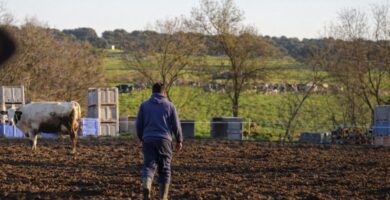 Cómo buscar empleo en el medio rural