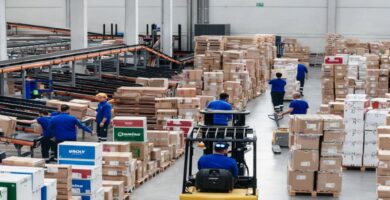 Ofertas de empleo en Gor Factory (Roly)