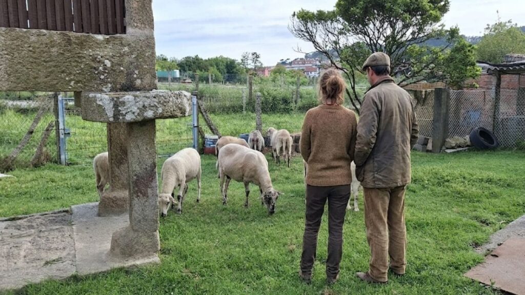 trabajo para matrimonios en fincas y casas rurales