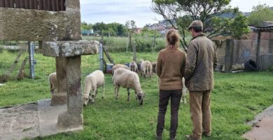 trabajo para matrimonios en fincas y casas rurales