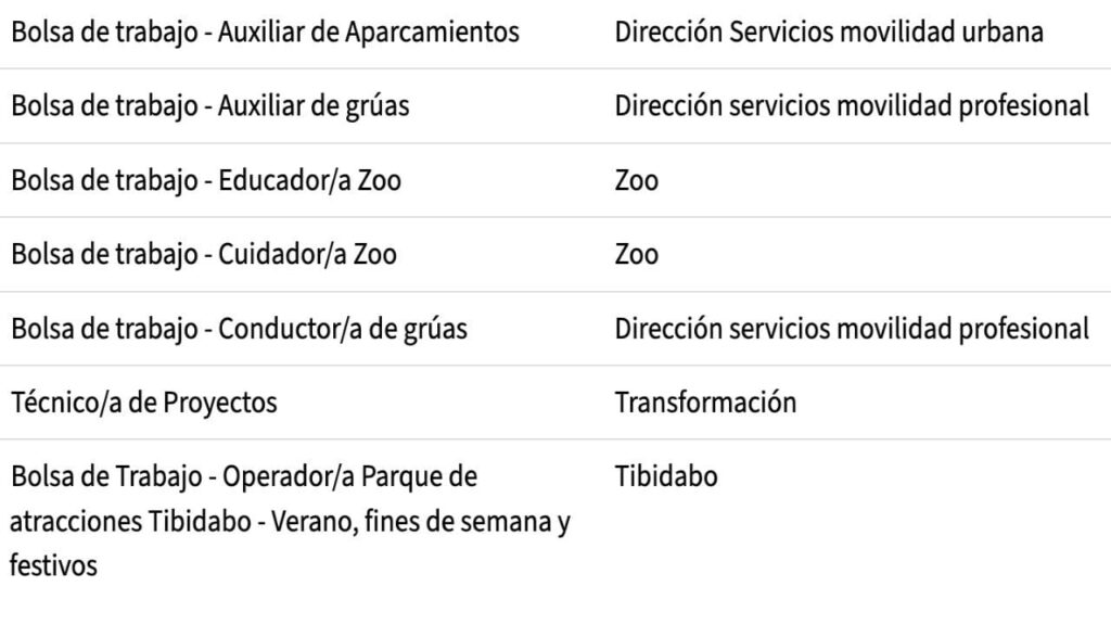 trabajar como controlador de zona azul